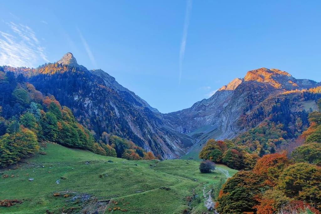 Apartament Logement 6 Pers Au Coeur Des Montagnes Pyreneennes Boutx Zewnętrze zdjęcie