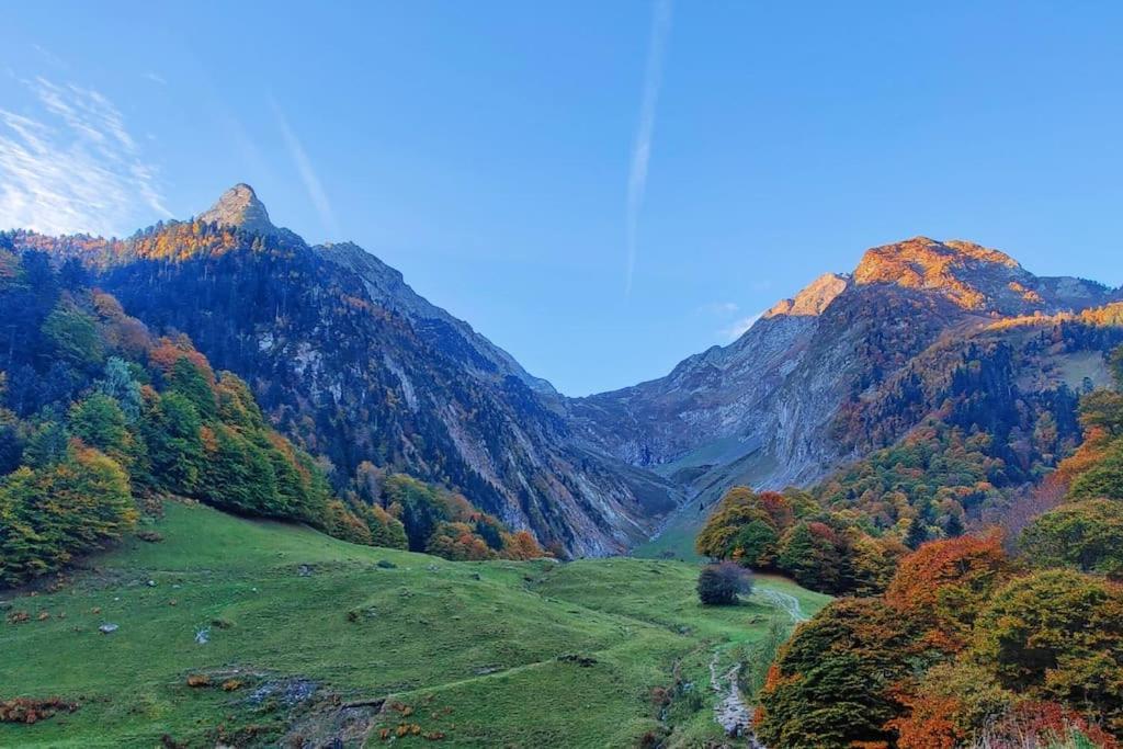 Logement 6 Pers Au Coeur Des Montagnes Pyreneennes Linge De Maison Et Papier Toilette Non Fournis Boutx Zewnętrze zdjęcie
