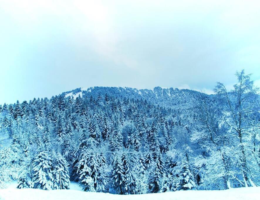 Logement 6 Pers Au Coeur Des Montagnes Pyreneennes Linge De Maison Et Papier Toilette Non Fournis Boutx Zewnętrze zdjęcie