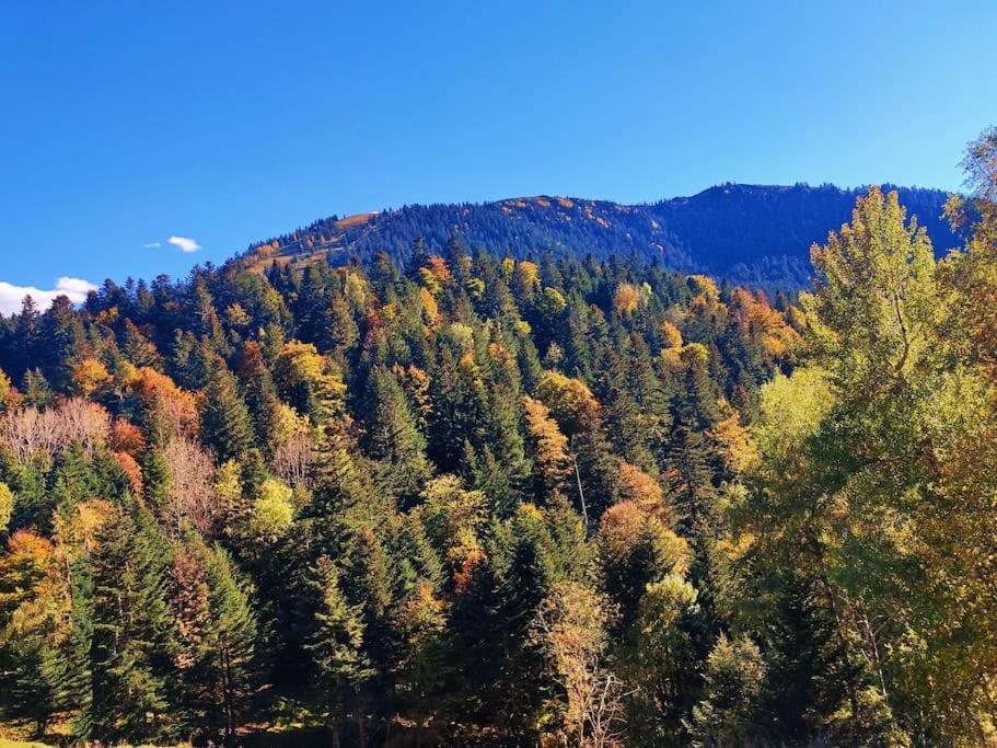 Logement 6 Pers Au Coeur Des Montagnes Pyreneennes Linge De Maison Et Papier Toilette Non Fournis Boutx Zewnętrze zdjęcie