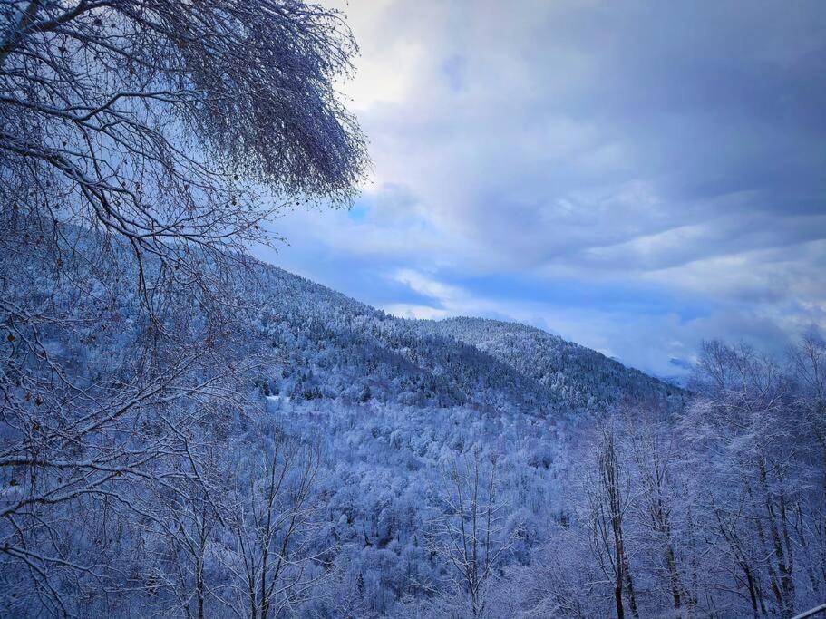 Apartament Logement 6 Pers Au Coeur Des Montagnes Pyreneennes Boutx Zewnętrze zdjęcie