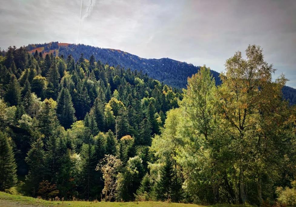 Logement 6 Pers Au Coeur Des Montagnes Pyreneennes Linge De Maison Et Papier Toilette Non Fournis Boutx Zewnętrze zdjęcie